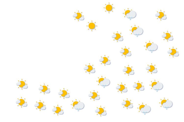 Forecast