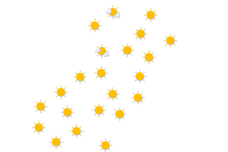 Forecast