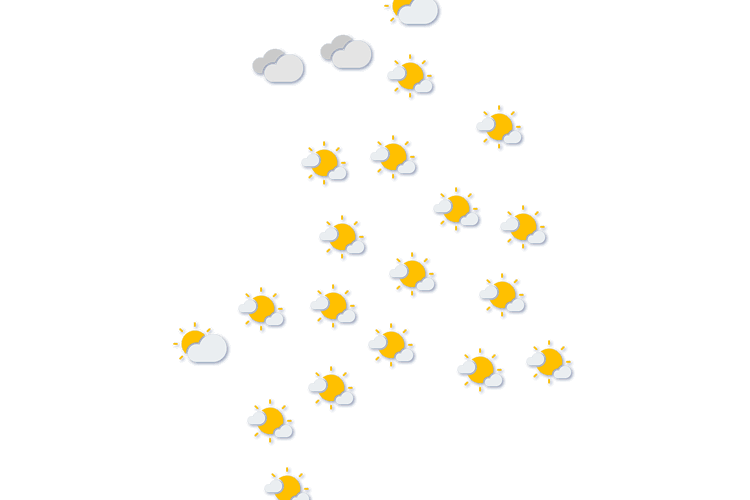 Forecast
