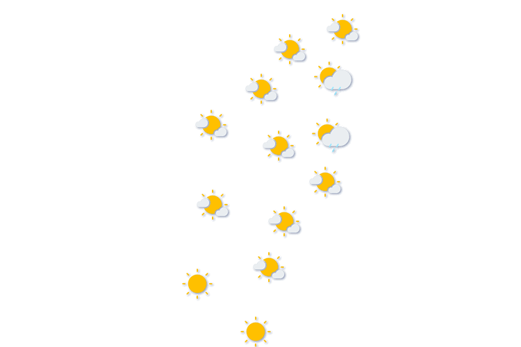 Forecast
