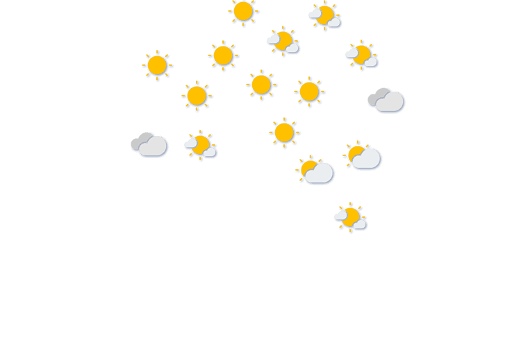 Forecast