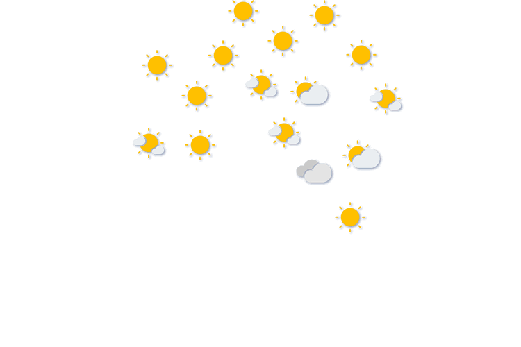 Forecast
