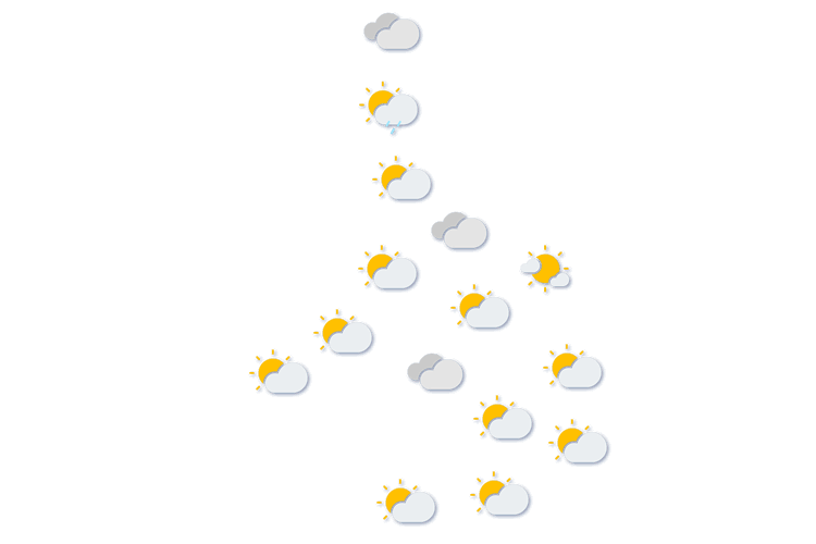 Forecast