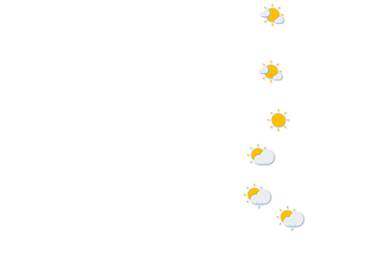 Forecast