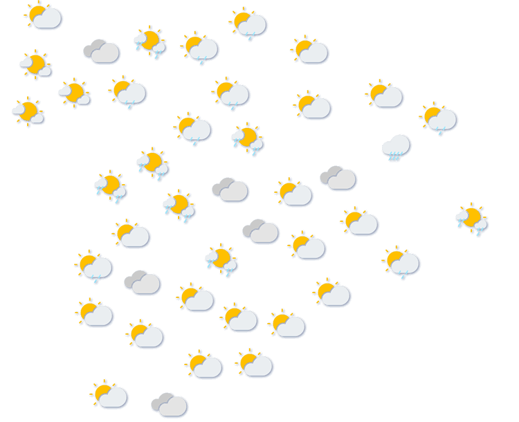 Forecast