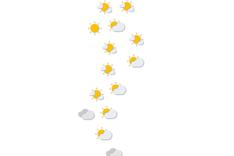 Forecast