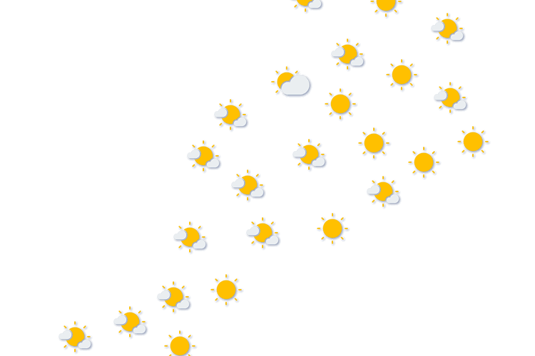 Forecast