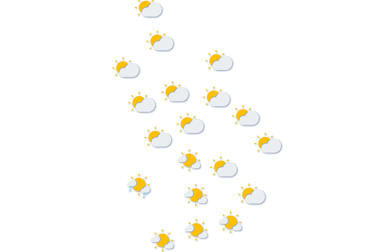 Forecast