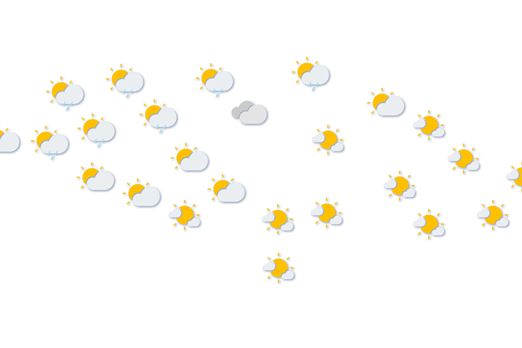 Forecast