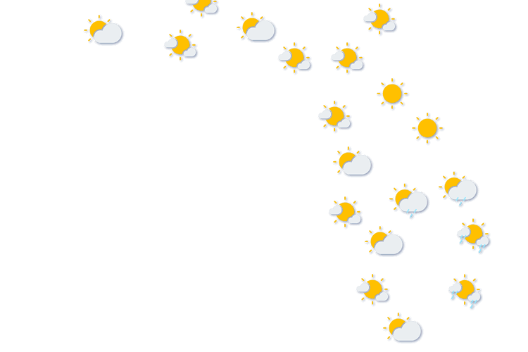 Forecast