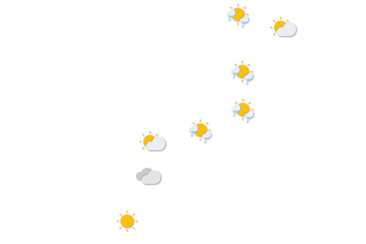 Forecast