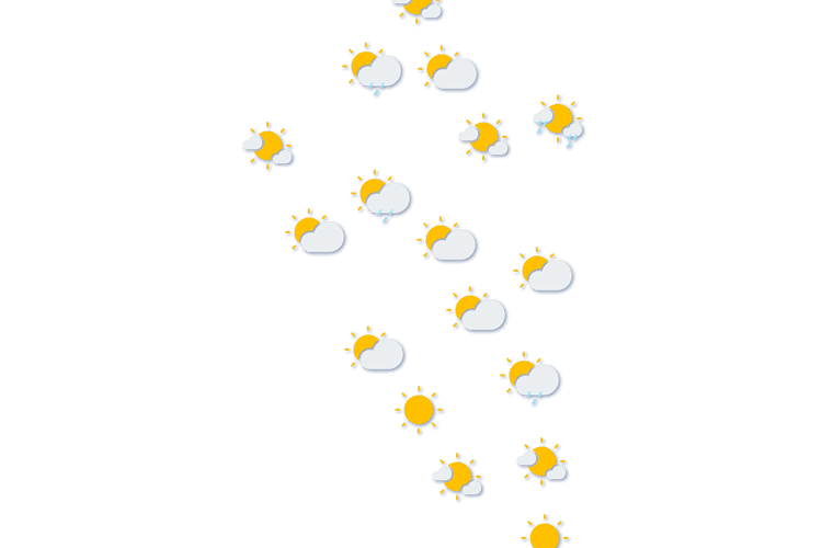 Forecast