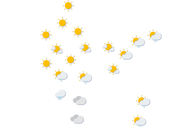 Forecast