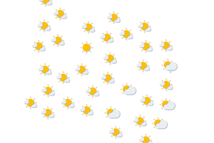 Forecast