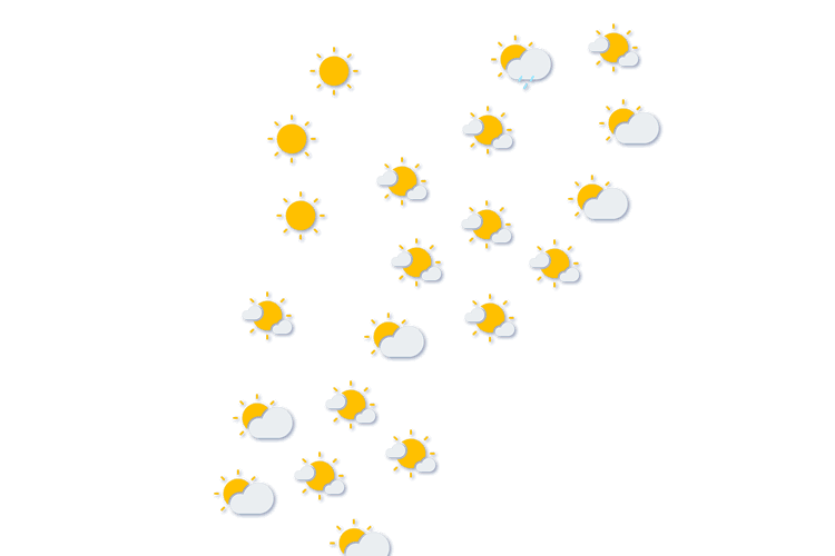 Forecast