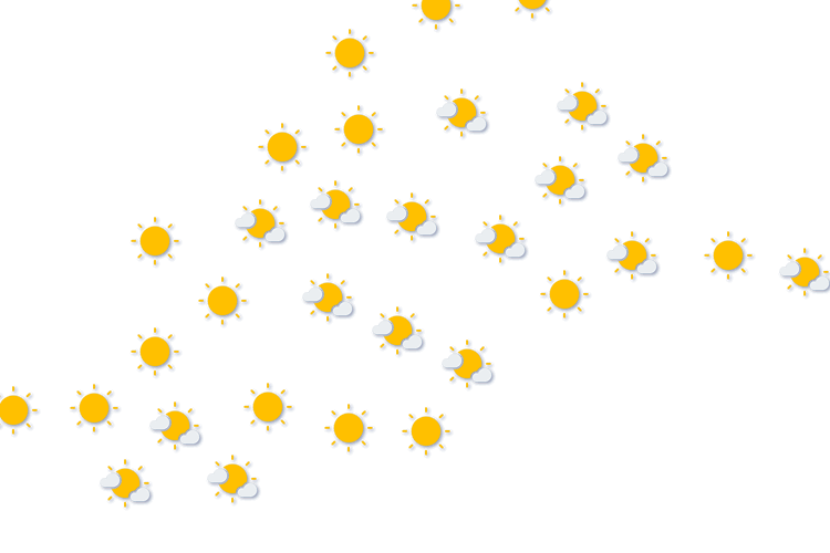Forecast