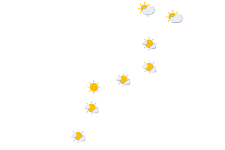 Forecast