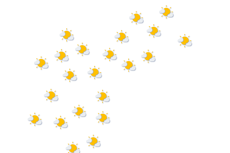 Forecast