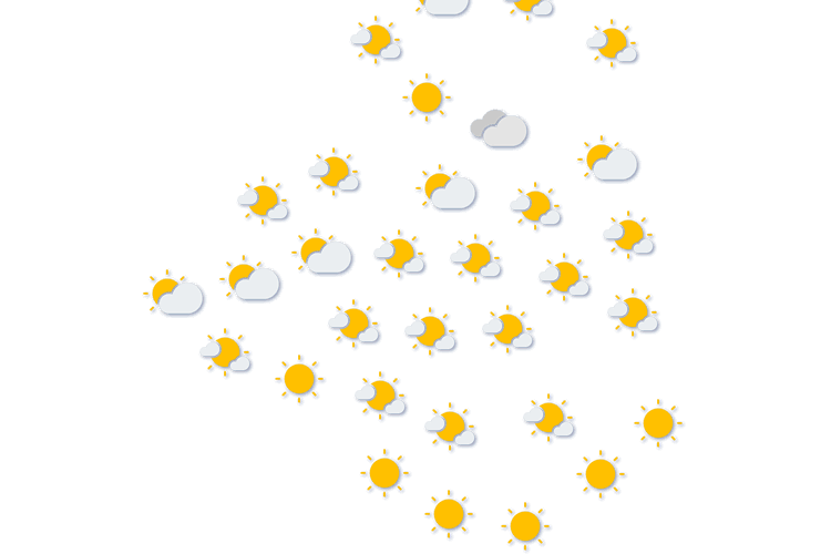 Forecast