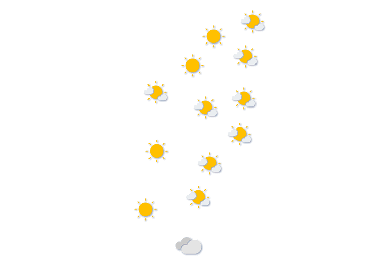 Forecast