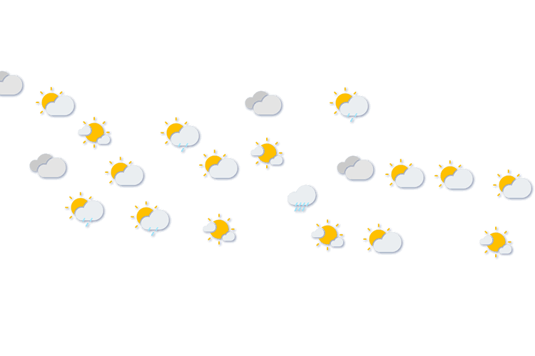Forecast