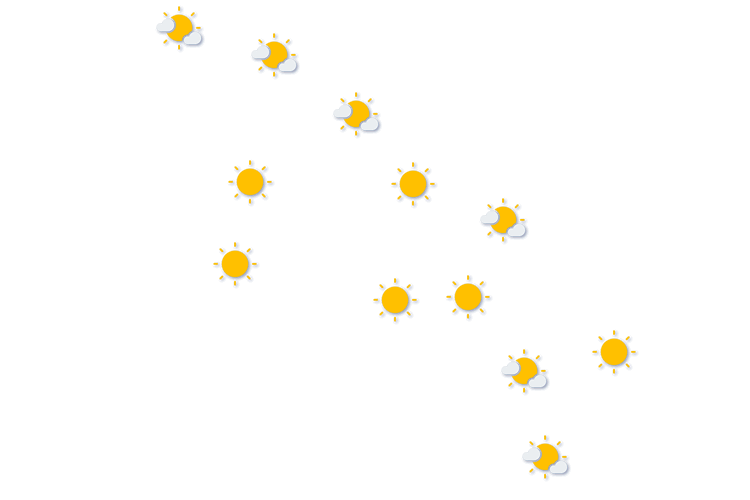 Forecast