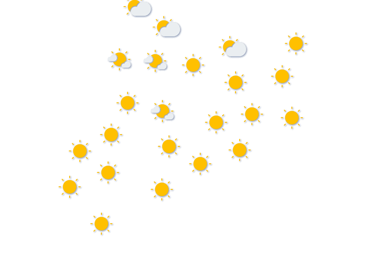 Forecast