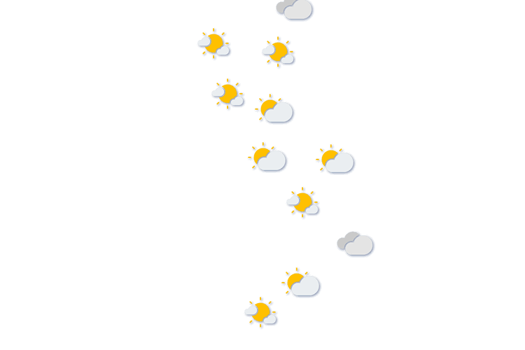 Forecast