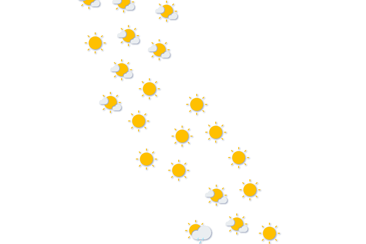 Forecast
