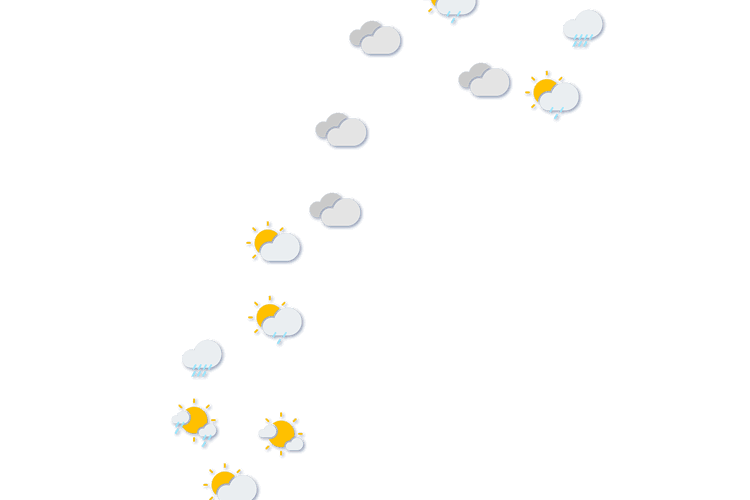 Forecast