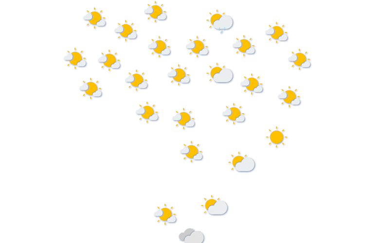 Forecast