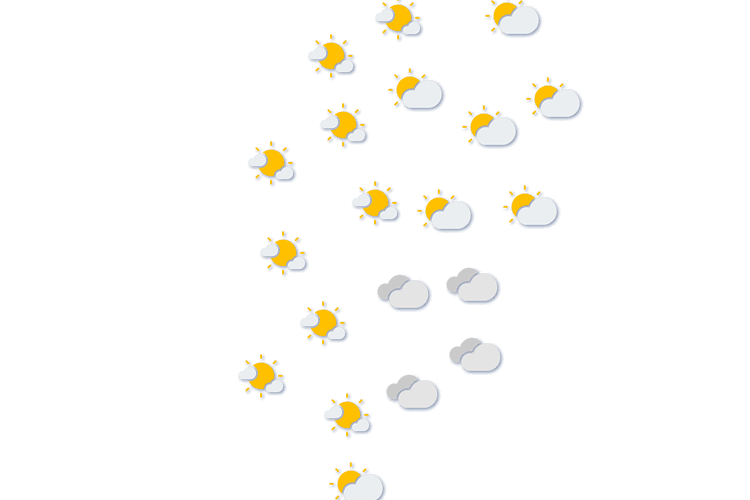 Forecast