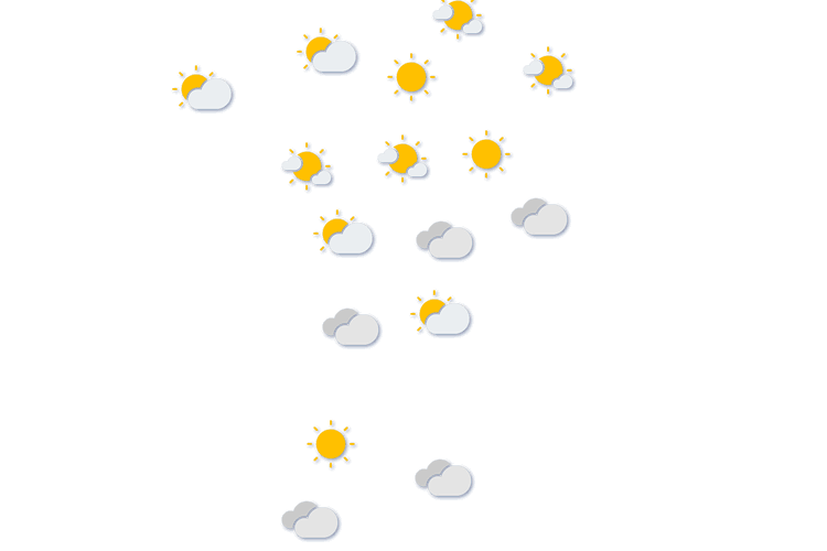 Forecast
