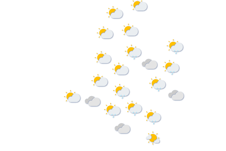 Forecast
