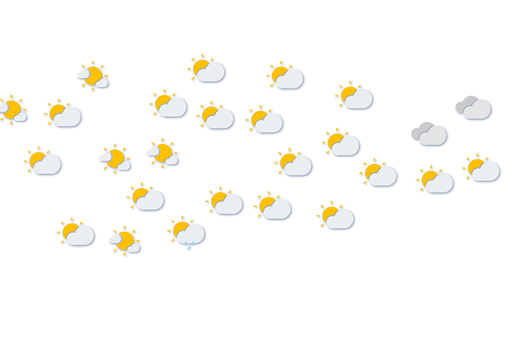 Forecast