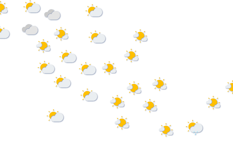 Forecast