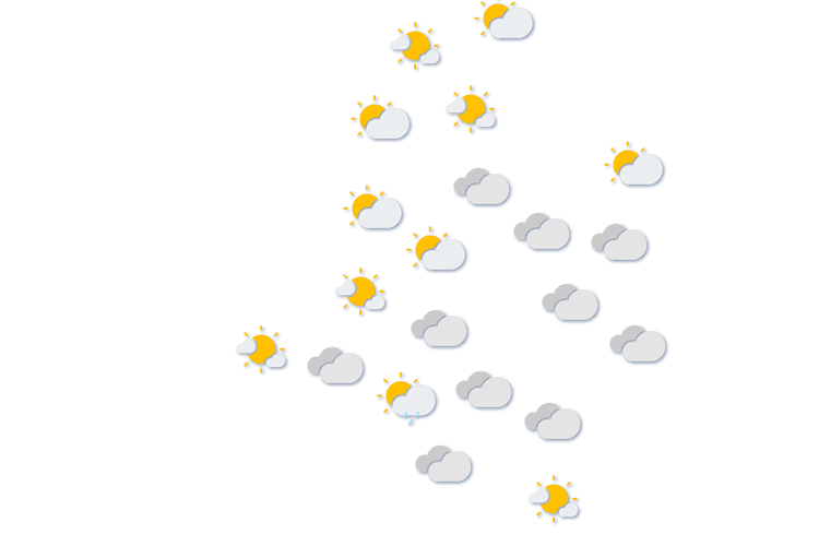 Forecast