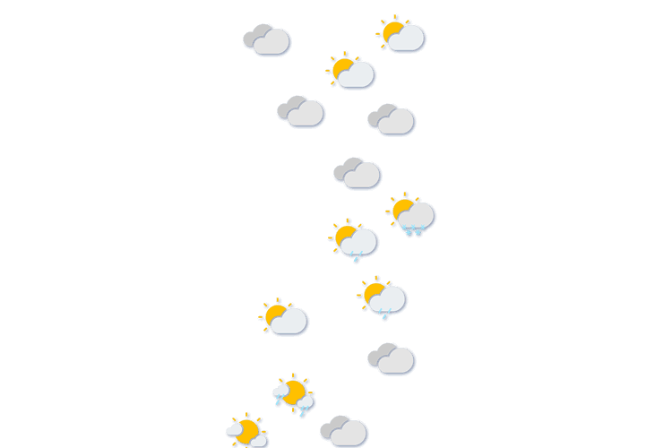 Forecast