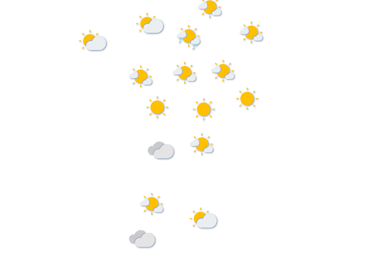 Forecast