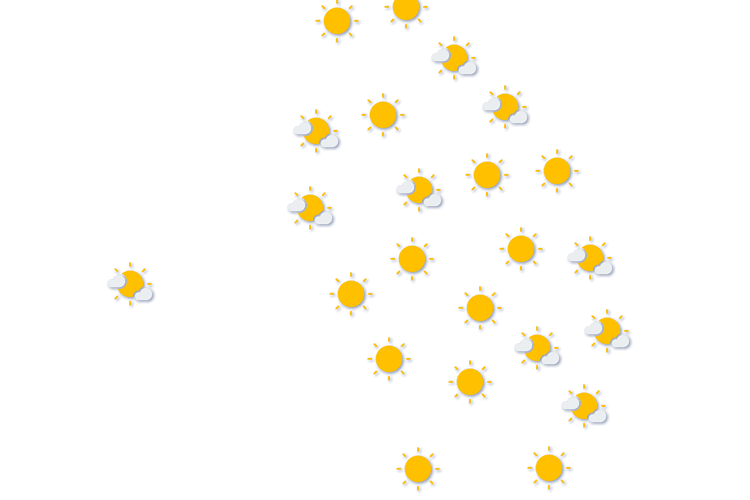 Forecast