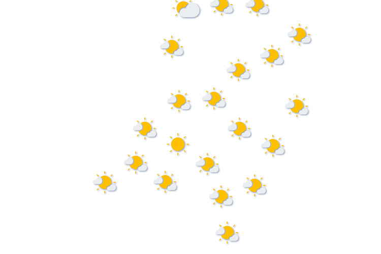 Forecast
