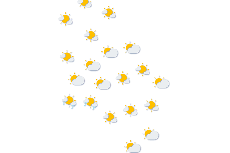 Forecast