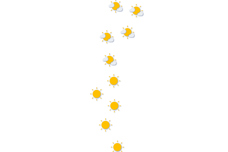 Forecast