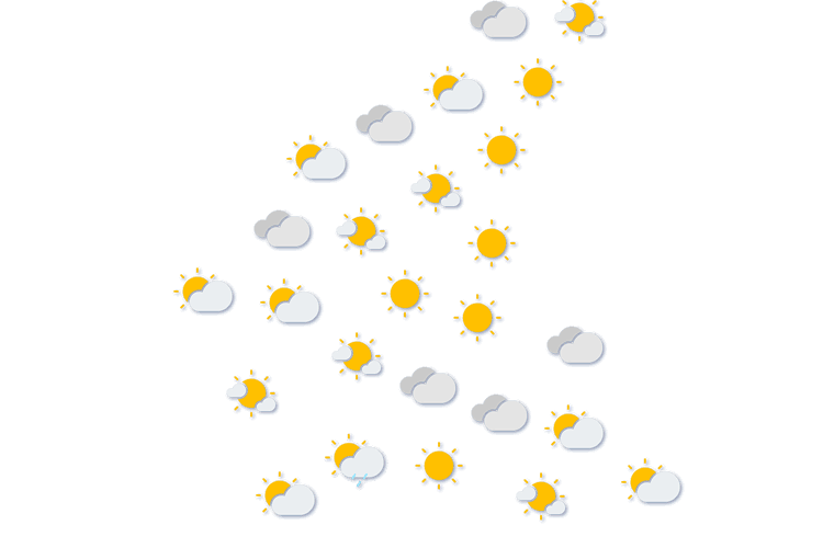 Forecast