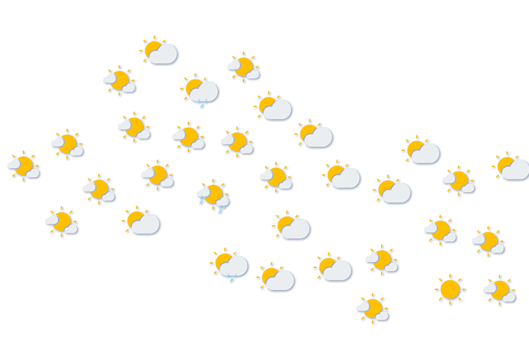 Forecast