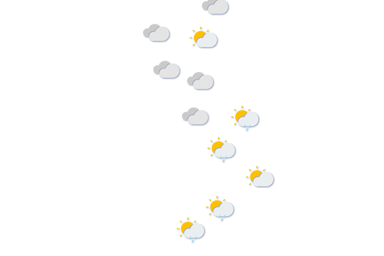 Forecast