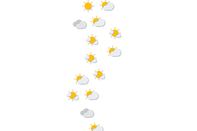 Forecast