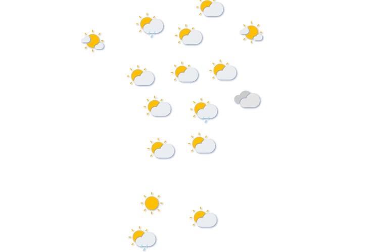 Forecast