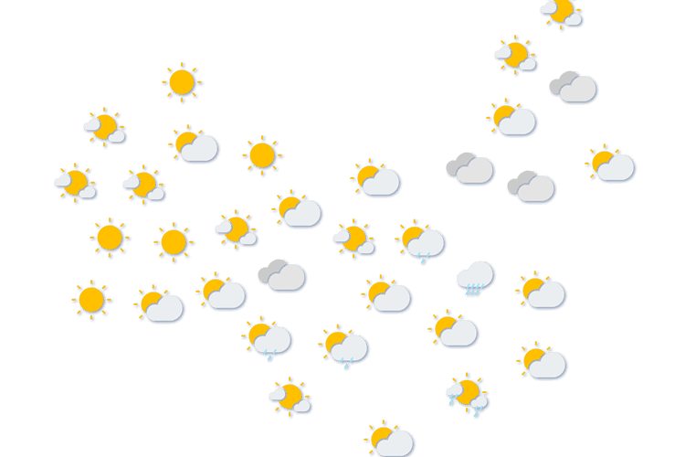 Forecast