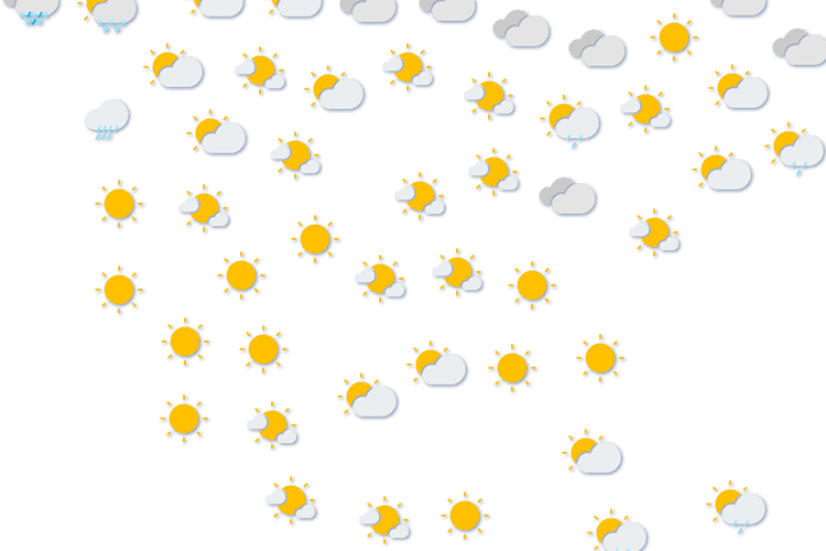 Forecast